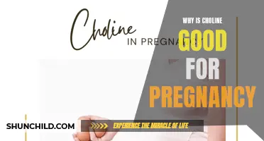 The Importance of Choline for a Healthy Pregnancy