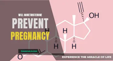Exploring the Effectiveness of Norethisterone in Preventing Pregnancy