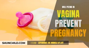 Do Peeing in the Vagina Act as a Method of Pregnancy Prevention?