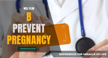 Can Plan B Prevent Pregnancy?