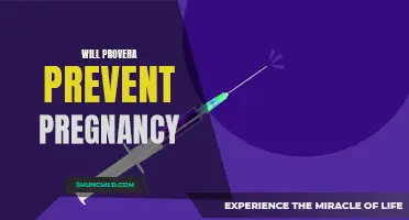Can Provera Be Used to Prevent Pregnancy?