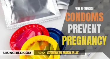Can Spermicide Condoms Prevent Pregnancy?