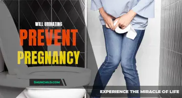 Can Urinating Prevent Pregnancy? The Truth Behind This Myth Unveiled